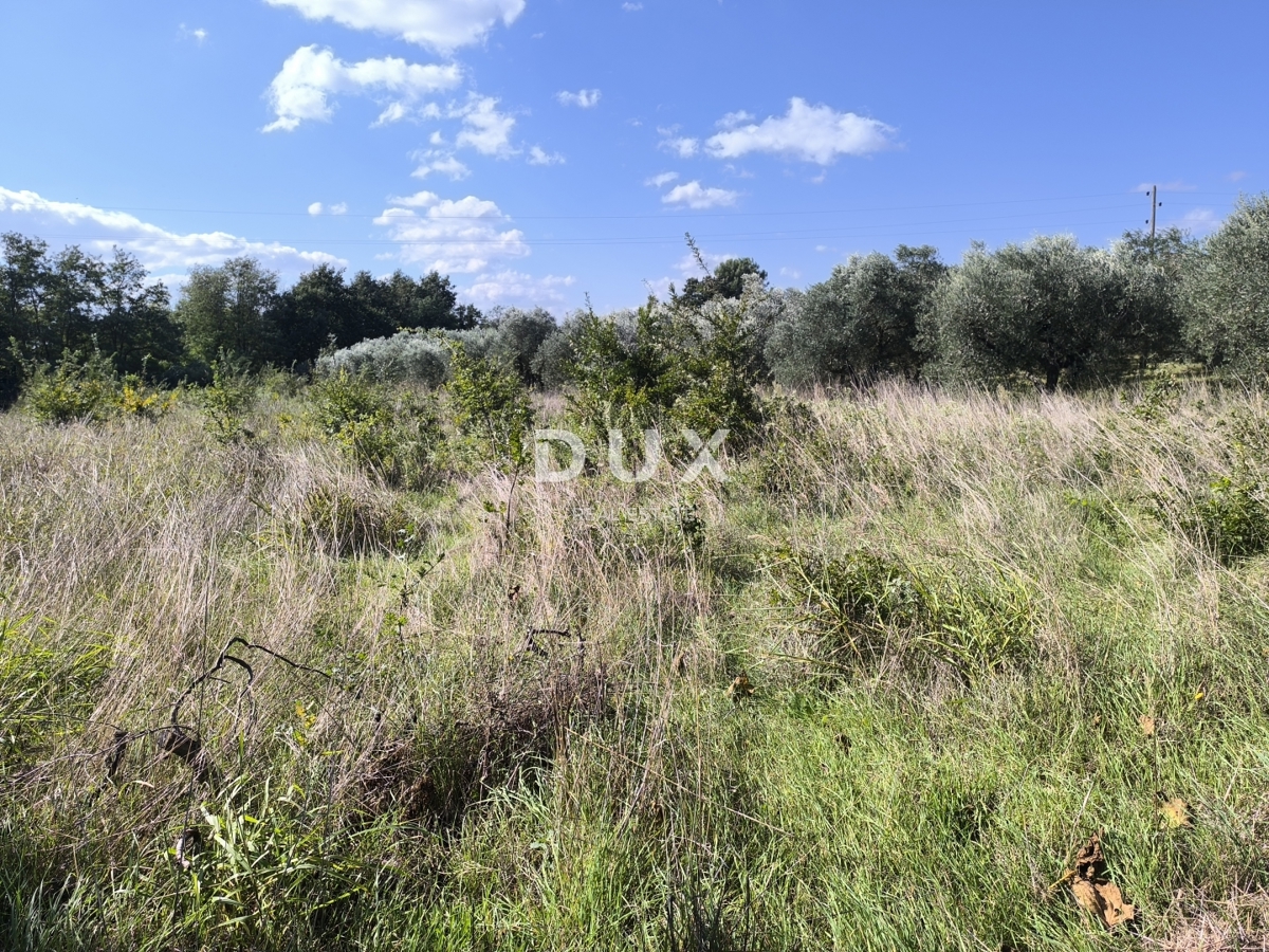 Land For sale - ISTARSKA Pula