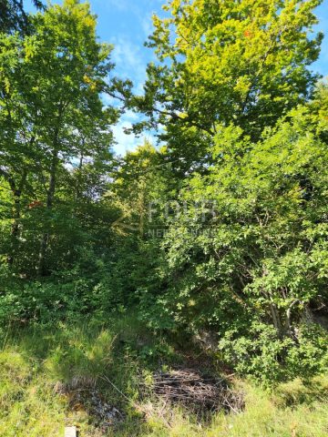 Grundstück Zu verkaufen - Primorsko-goranska Ravna Gora - foto 4/4