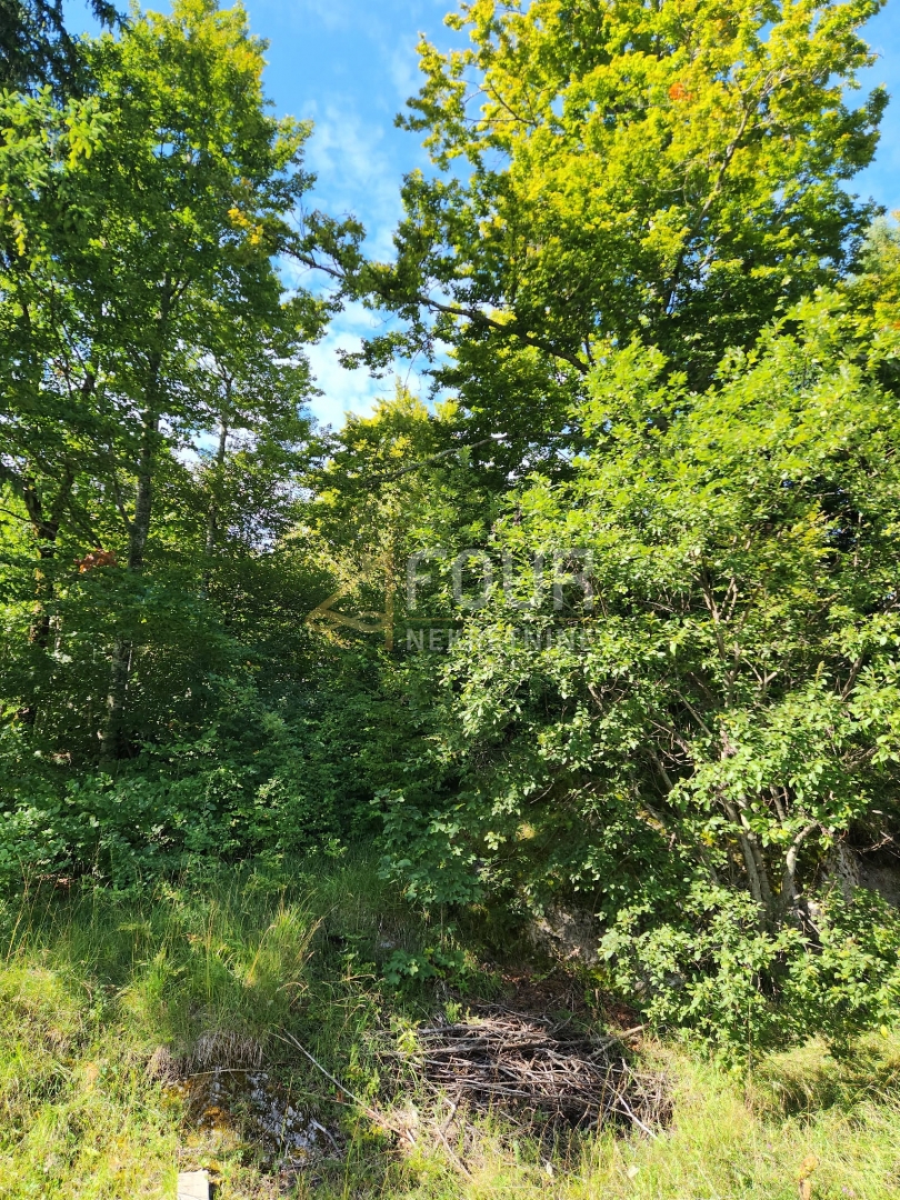 Pozemok Na predaj - Primorsko-goranska Ravna Gora - foto 4/4