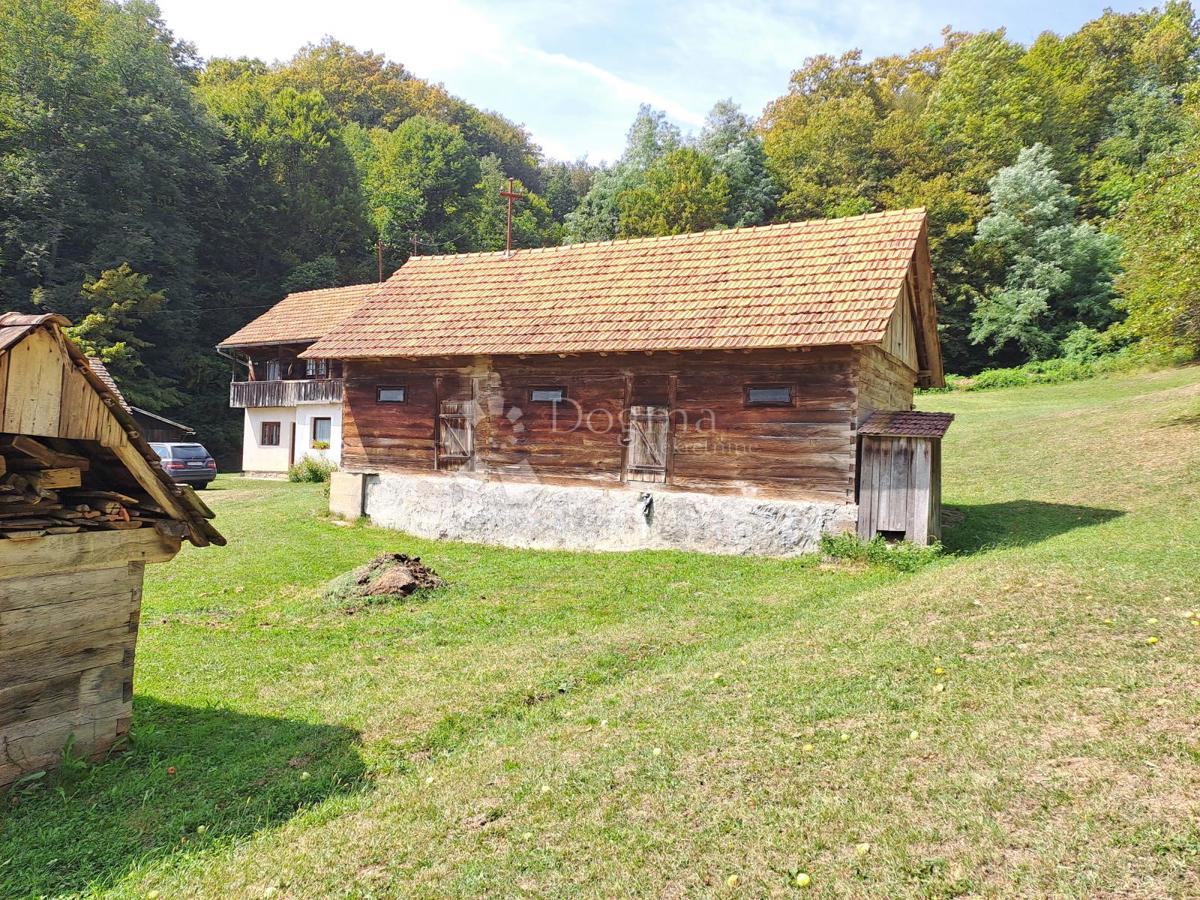 Dom Na sprzedaż - Sisačko-moslavačka Gvozd - foto 3/25