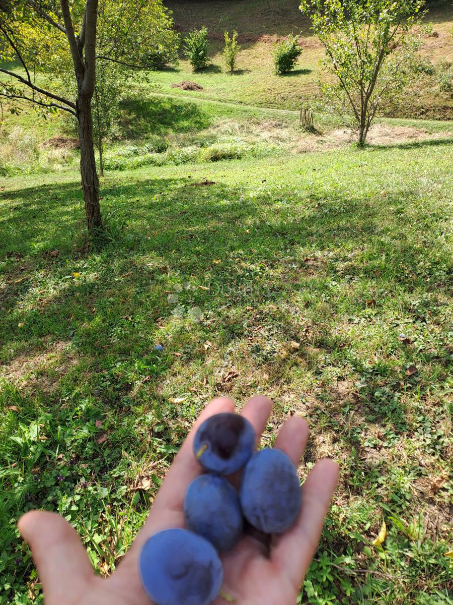 Dom Na sprzedaż - Sisačko-moslavačka Gvozd - foto 5/25