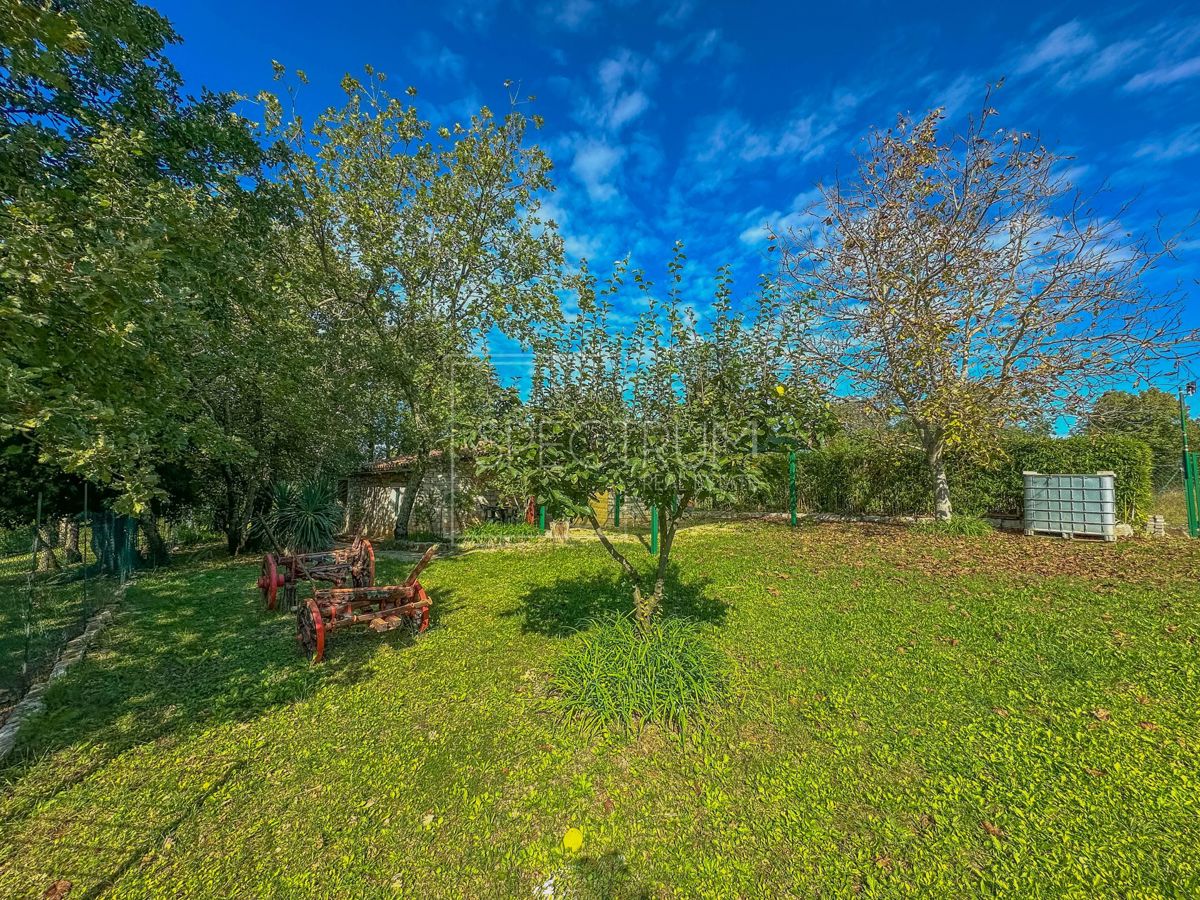 Casa In vendita - ISTARSKA GROŽNJAN