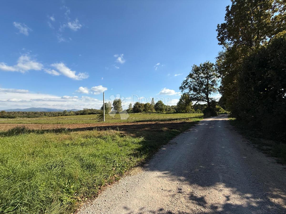 Land For sale - Ličko-senjska Gospić - foto 3/14