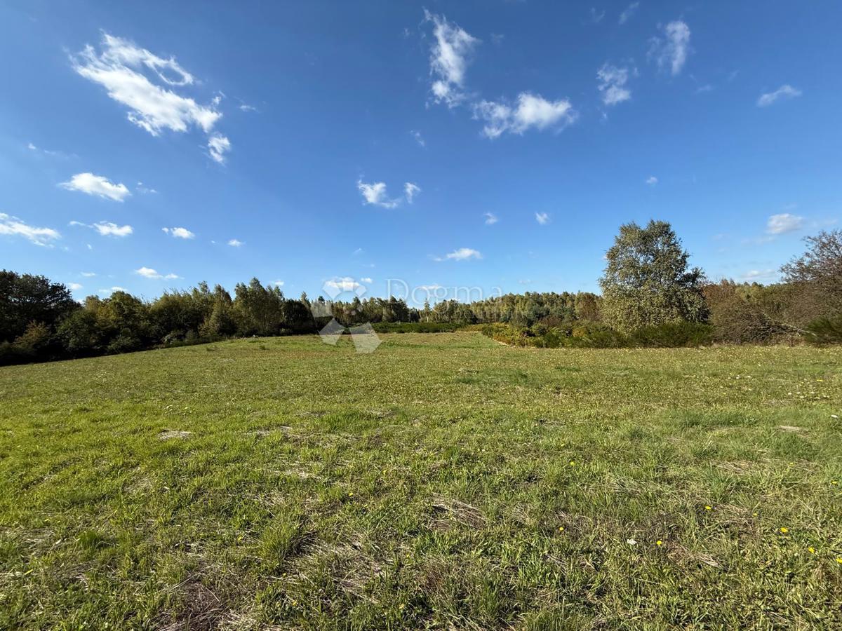 Land For sale - LIČKO-SENJSKA GOSPIĆ