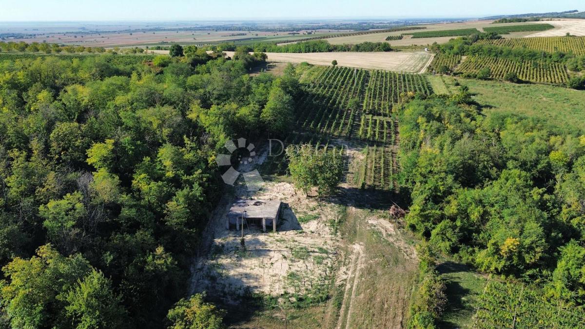 Komerční Na prodej - OSJEČKO-BARANJSKA Draž