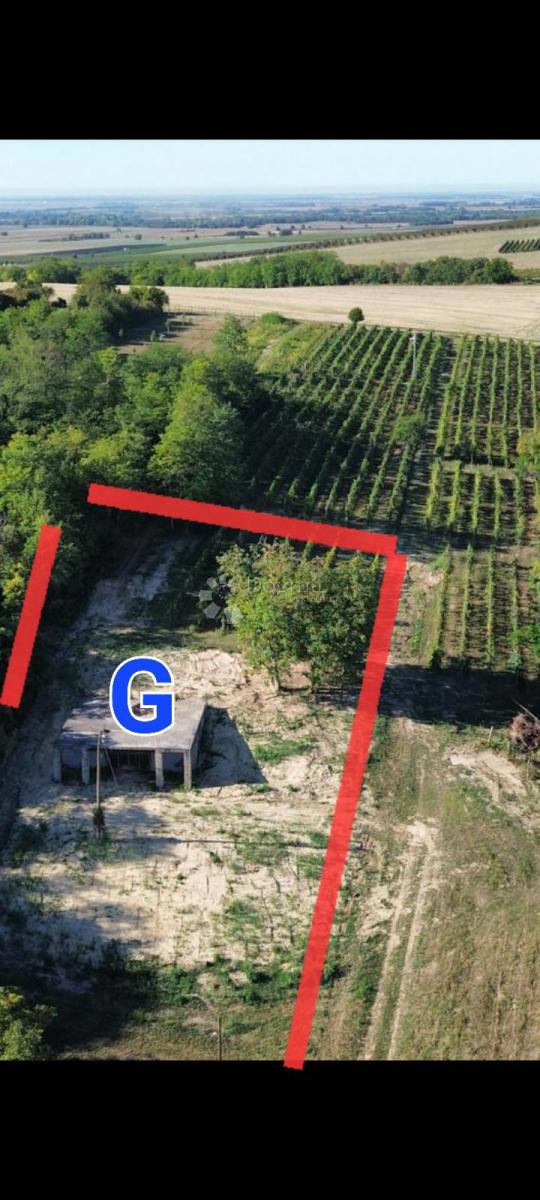 Poslovni prostor Na prodaju - OSJEČKO-BARANJSKA DRAŽ