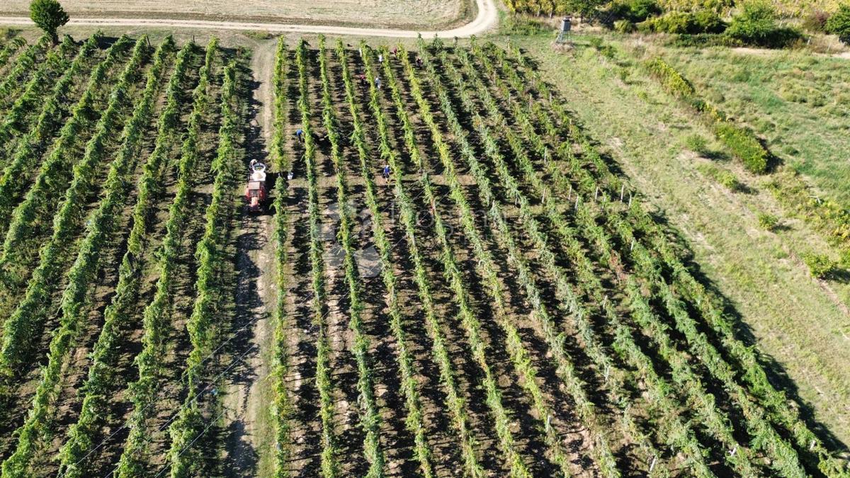 Poslovni prostor Na prodaju - OSJEČKO-BARANJSKA DRAŽ