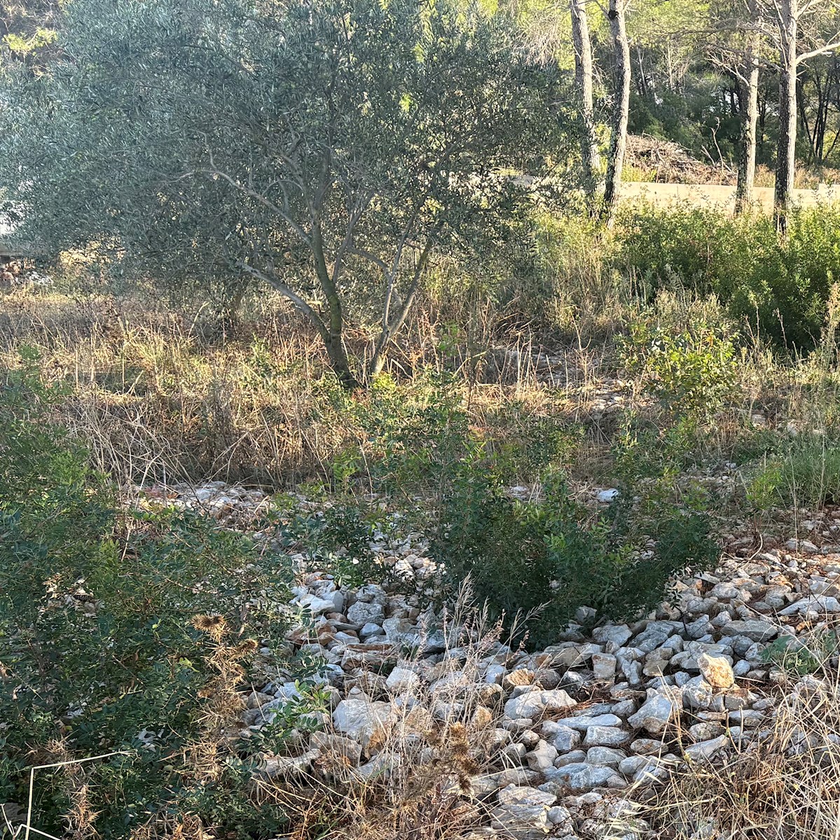 Zemljište Na prodaju - ŠIBENSKO-KNINSKA ŠIBENIK