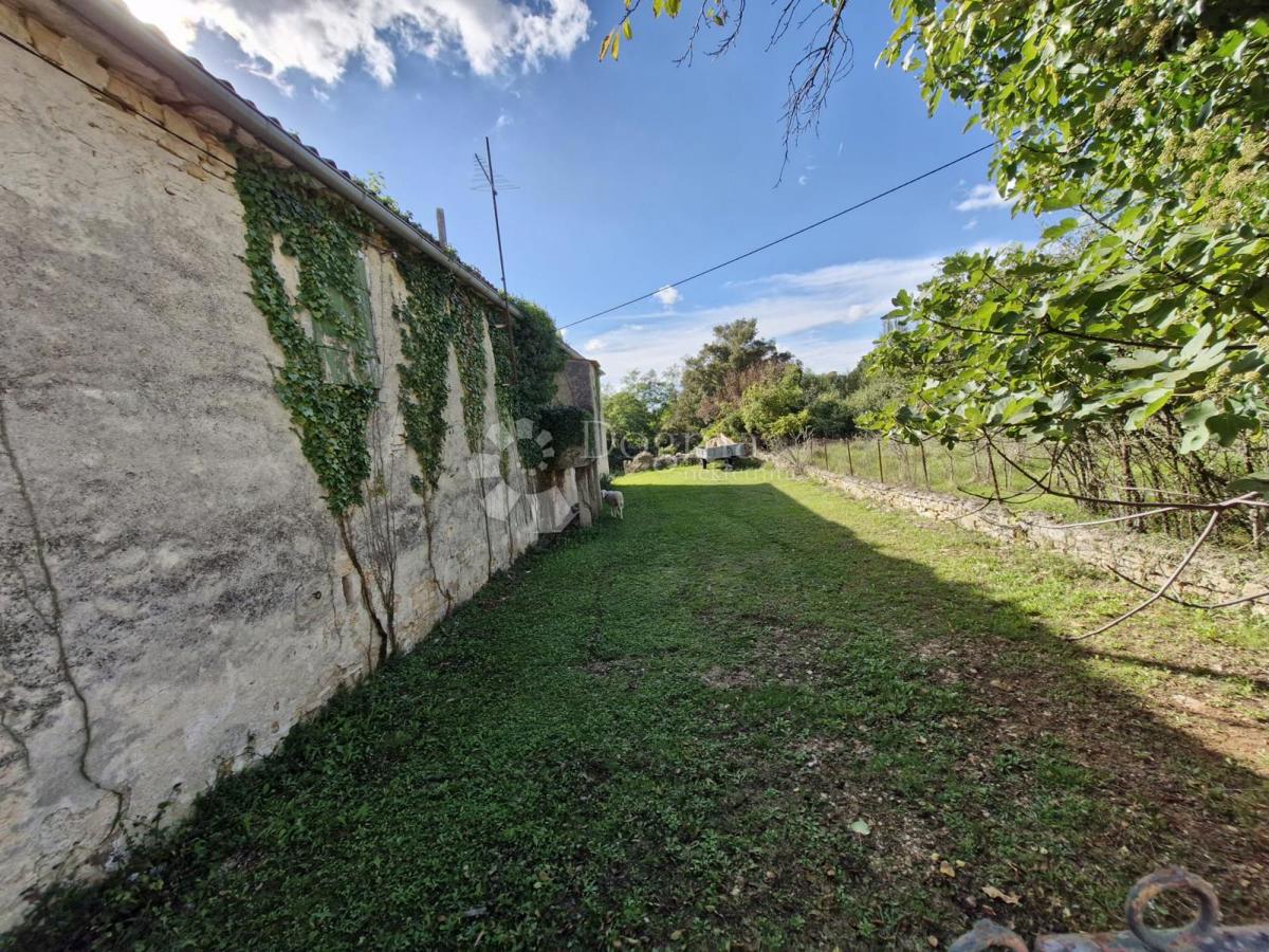 House For sale - ISTARSKA ŽMINJ