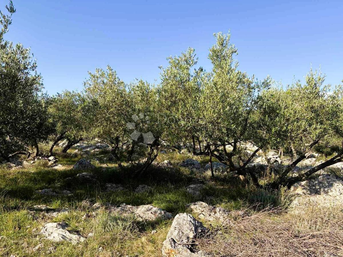 Parcela Naprodaj - PRIMORSKO-GORANSKA Krk
