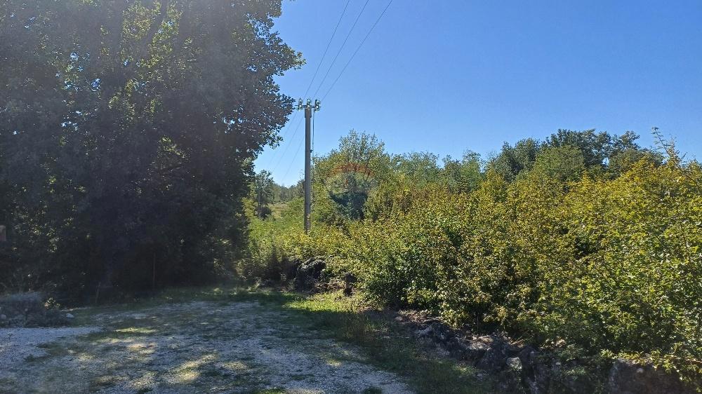 Parcela Naprodaj - ISTARSKA Poreč