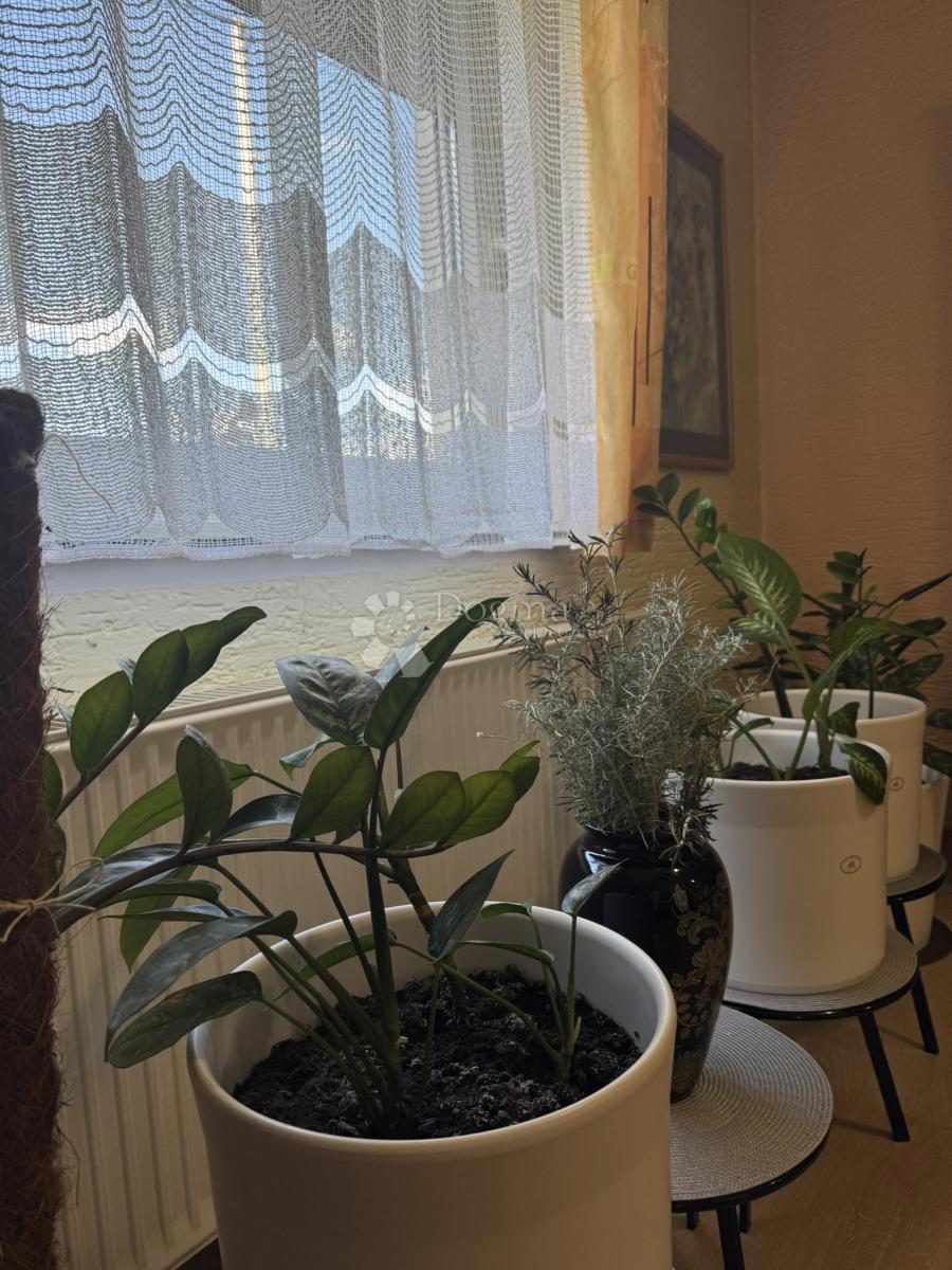 Dom Na sprzedaż - KOPRIVNIČKO-KRIŽEVAČKA KOPRIVNICA