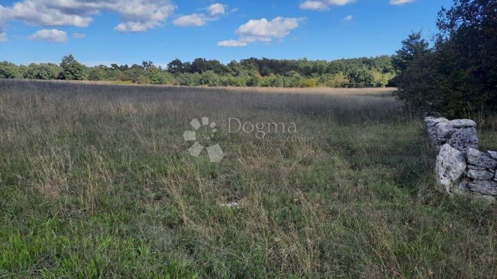 Pozemek na prodej – Svetvinčenat
