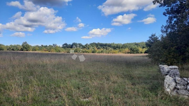 Land For sale - Istarska Svetvinčenat - foto 2/6