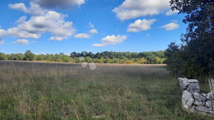 Land For sale - Istarska Svetvinčenat - foto 3/6