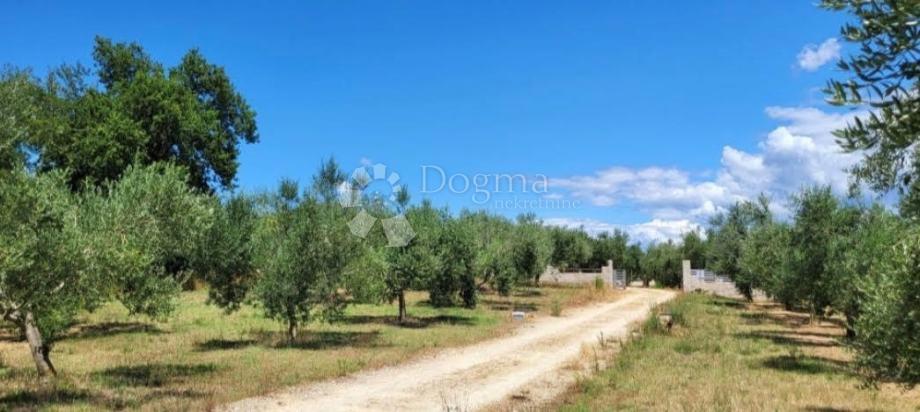 House For sale - ISTARSKA Marčana