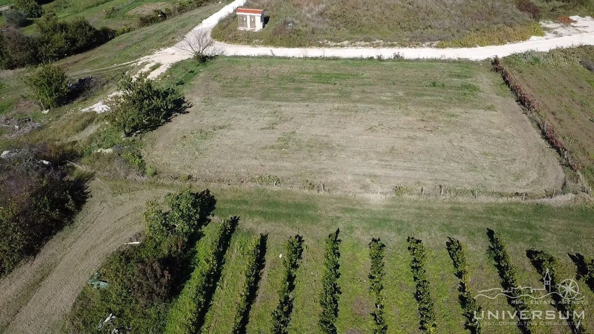 Pozemok Na predaj - Istarska Brtonigla - foto 2/3