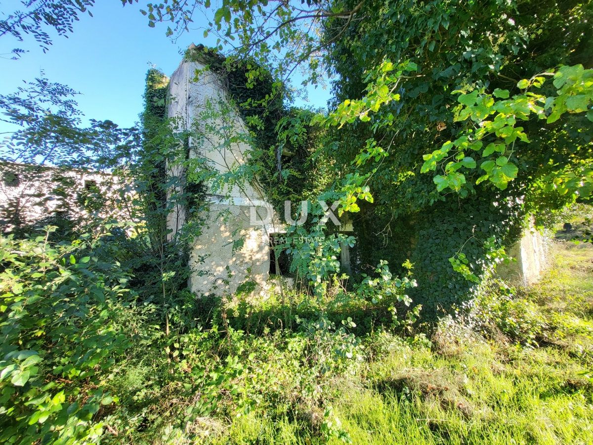 Maison À vendre - Istarska Lupoglav - foto 3/6