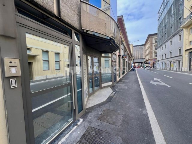 Locaux commerciaux À louer - Primorsko-goranska Rijeka - foto 5/5
