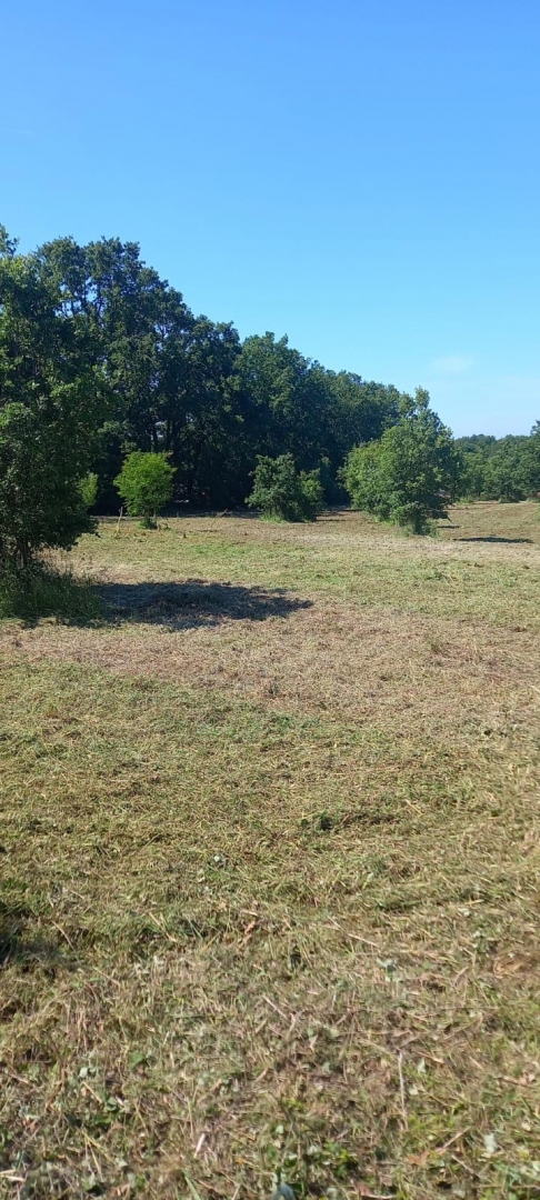 Terreno In vendita - ISTARSKA POREČ