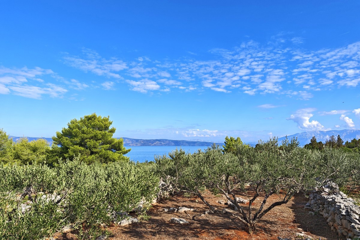 Grundstück Zu verkaufen - SPLITSKO-DALMATINSKA HVAR