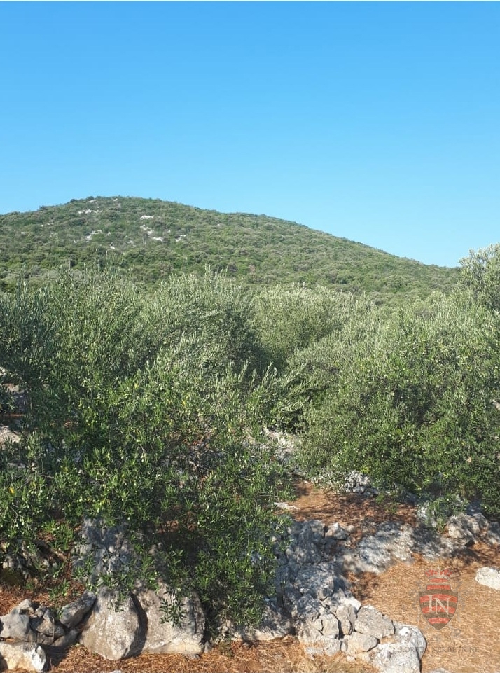 Land For sale - DUBROVAČKO-NERETVANSKA OREBIĆ