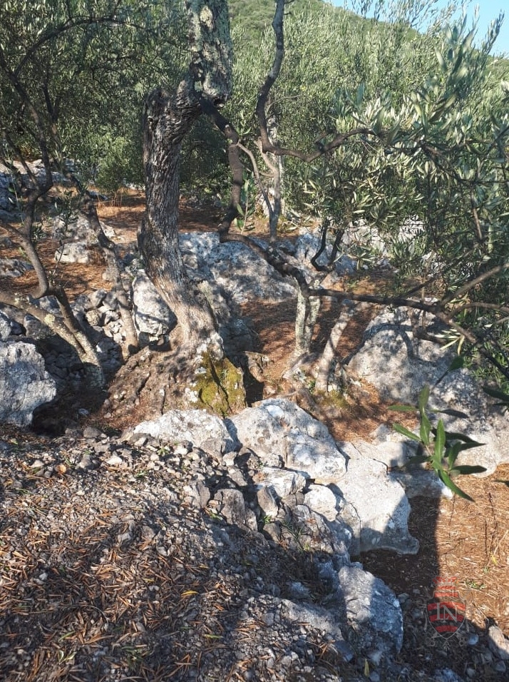 Land For sale - DUBROVAČKO-NERETVANSKA OREBIĆ