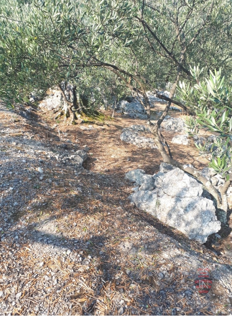 Land For sale - DUBROVAČKO-NERETVANSKA OREBIĆ
