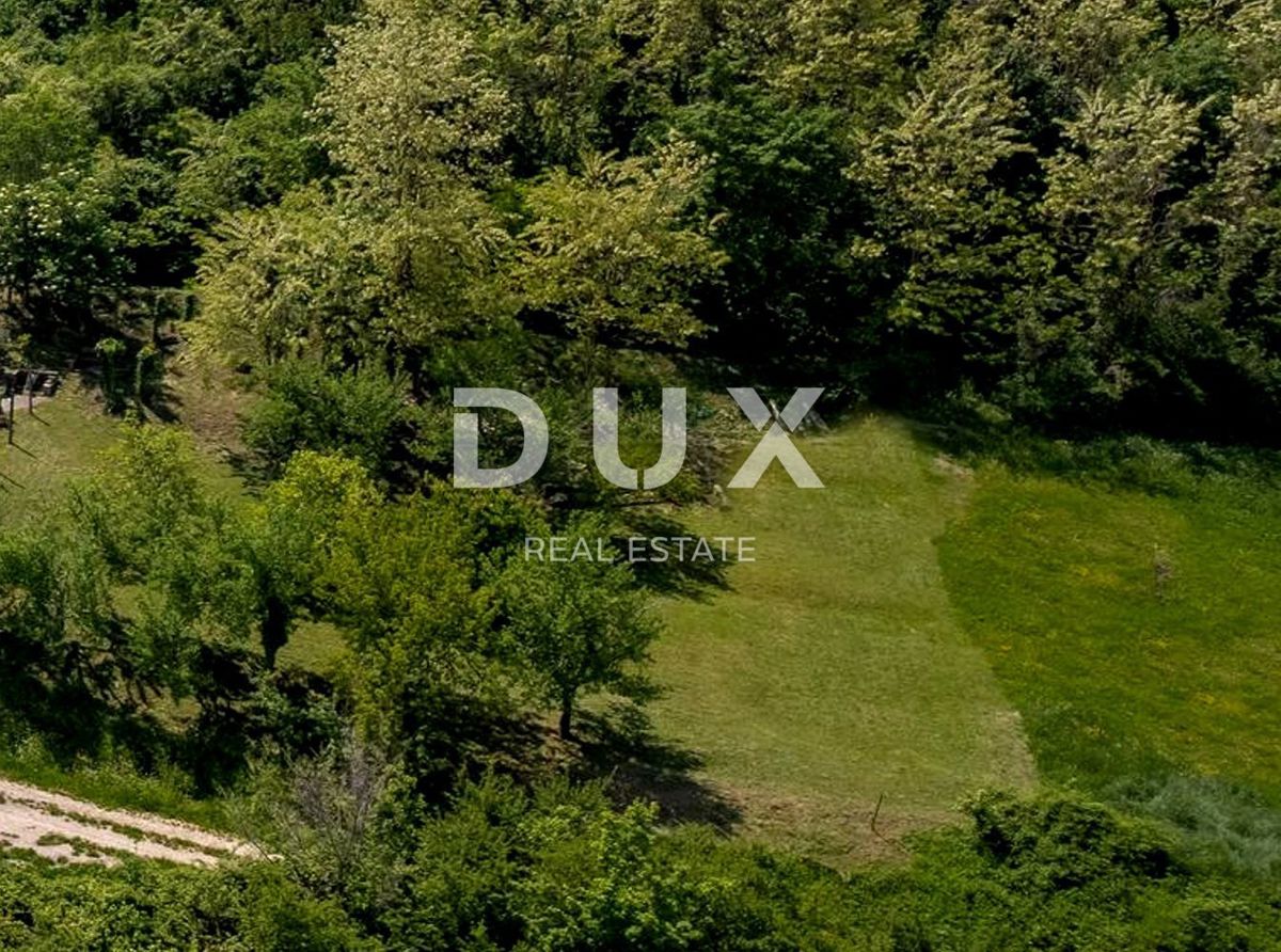 Land For sale - ISTARSKA Motovun
