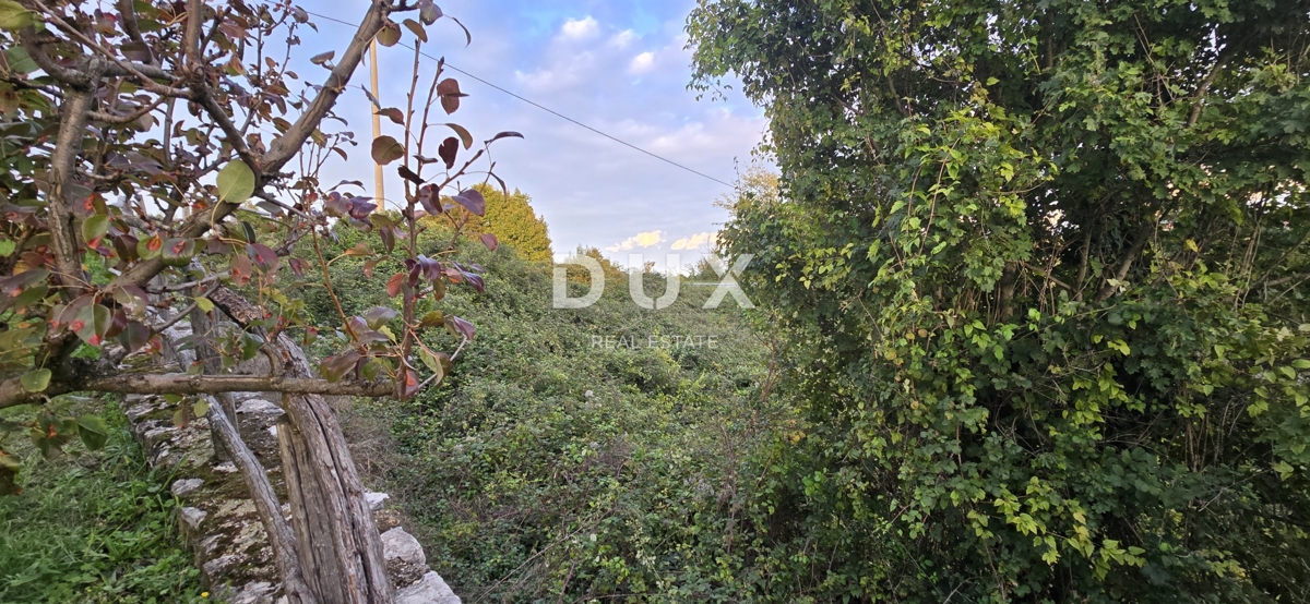 Terrain À vendre - ISTARSKA GRAČIŠĆE