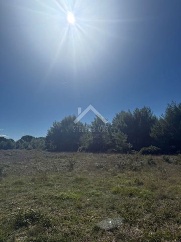 Terrain à vendre – Vir