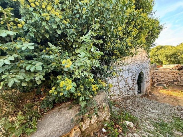 Grundstück Zu verkaufen - Primorsko-goranska Vinodolska Općina - foto 3/6