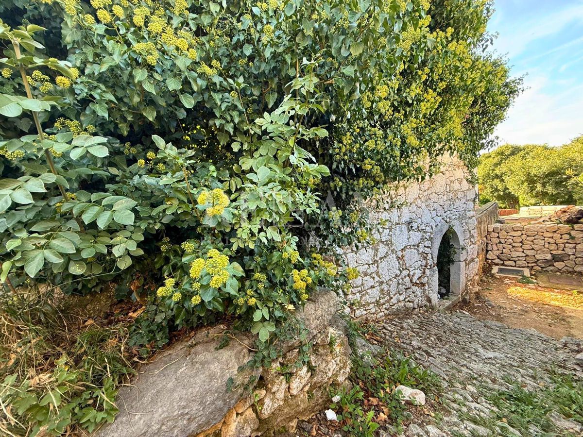 Terreno In vendita - Primorsko-goranska Vinodolska Općina - foto 3/6