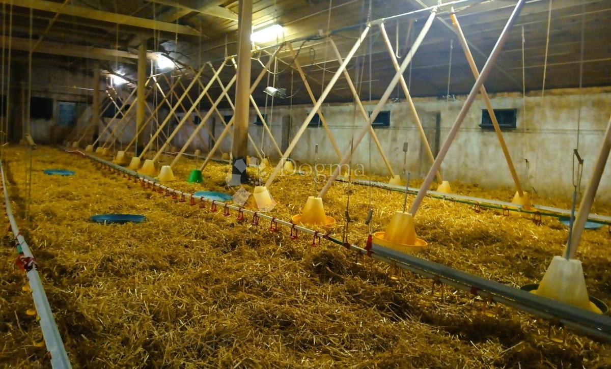 Dom Na predaj - MEĐIMURSKA ČAKOVEC