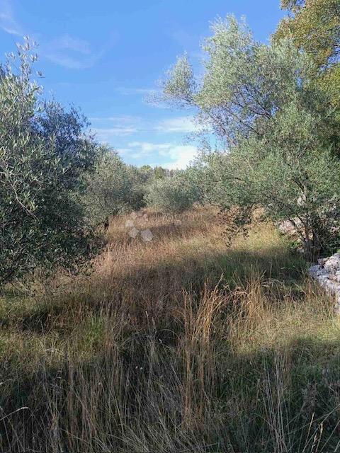Terrain À vendre - Primorsko-goranska Krk - foto 2/4