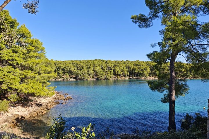 Flat For sale - Splitsko-dalmatinska Hvar - foto 4/5