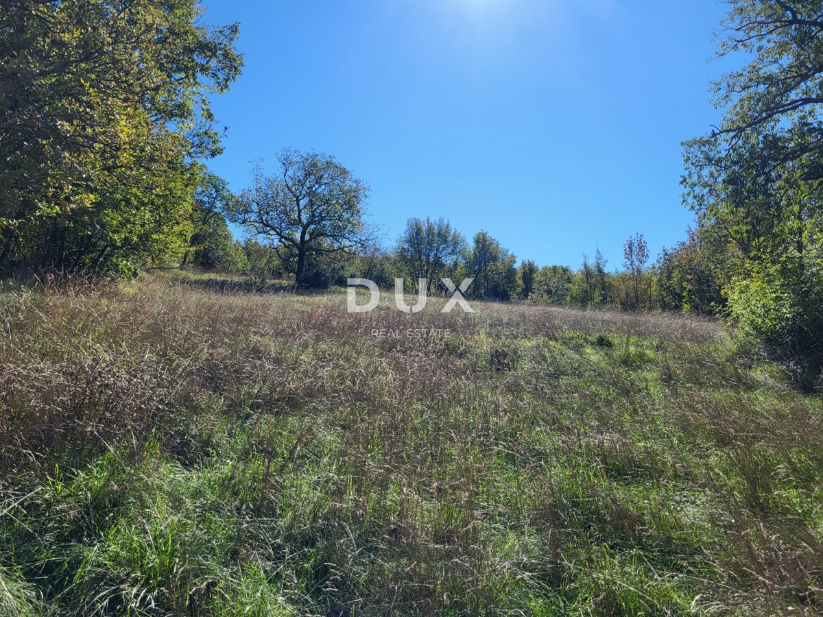 Dom Na predaj - ISTARSKA LUPOGLAV
