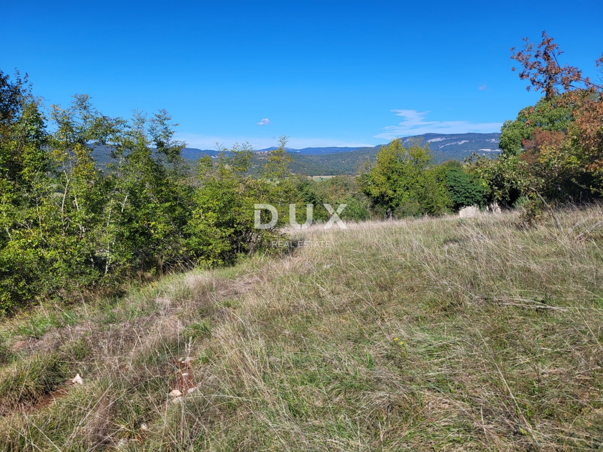 Dom Na sprzedaż - ISTARSKA LUPOGLAV