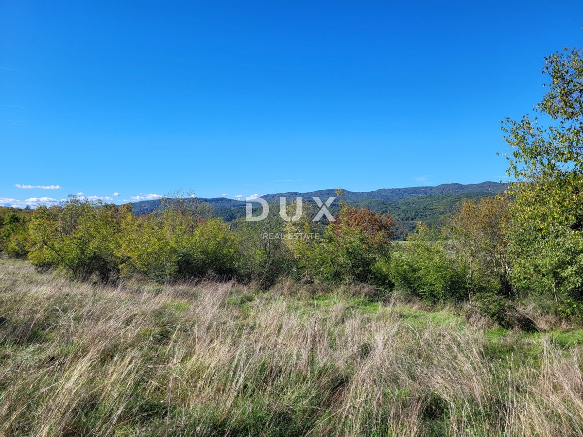 Dom Na sprzedaż - ISTARSKA LUPOGLAV