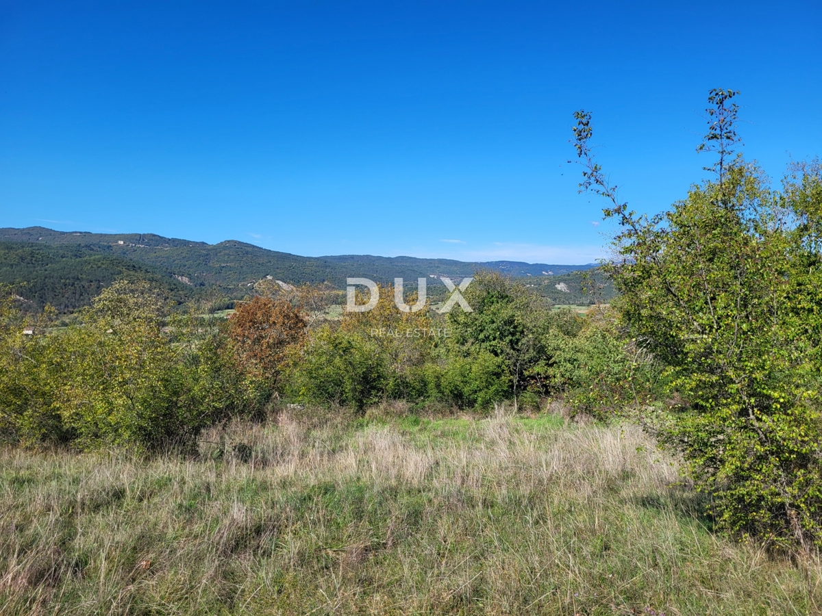 Dom Na sprzedaż - ISTARSKA LUPOGLAV