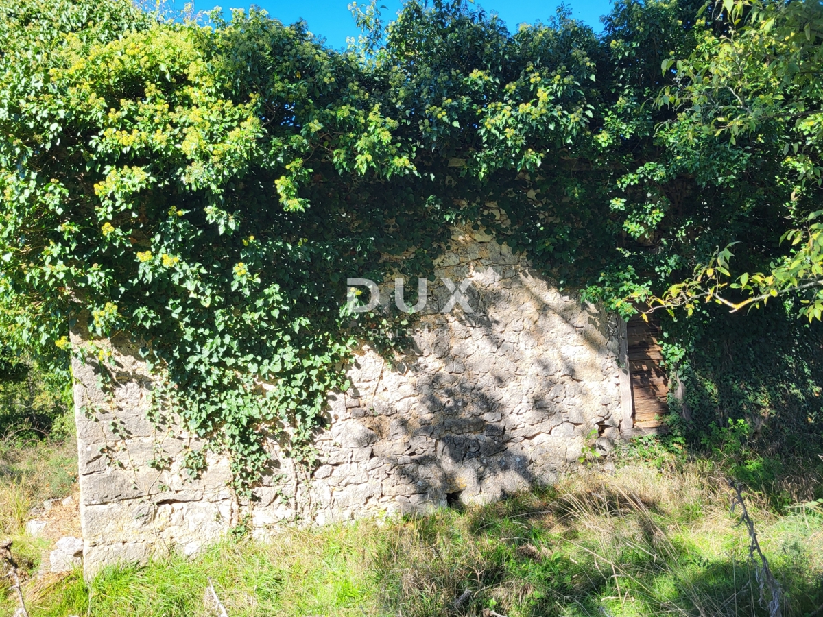 Dom Na sprzedaż - ISTARSKA LUPOGLAV