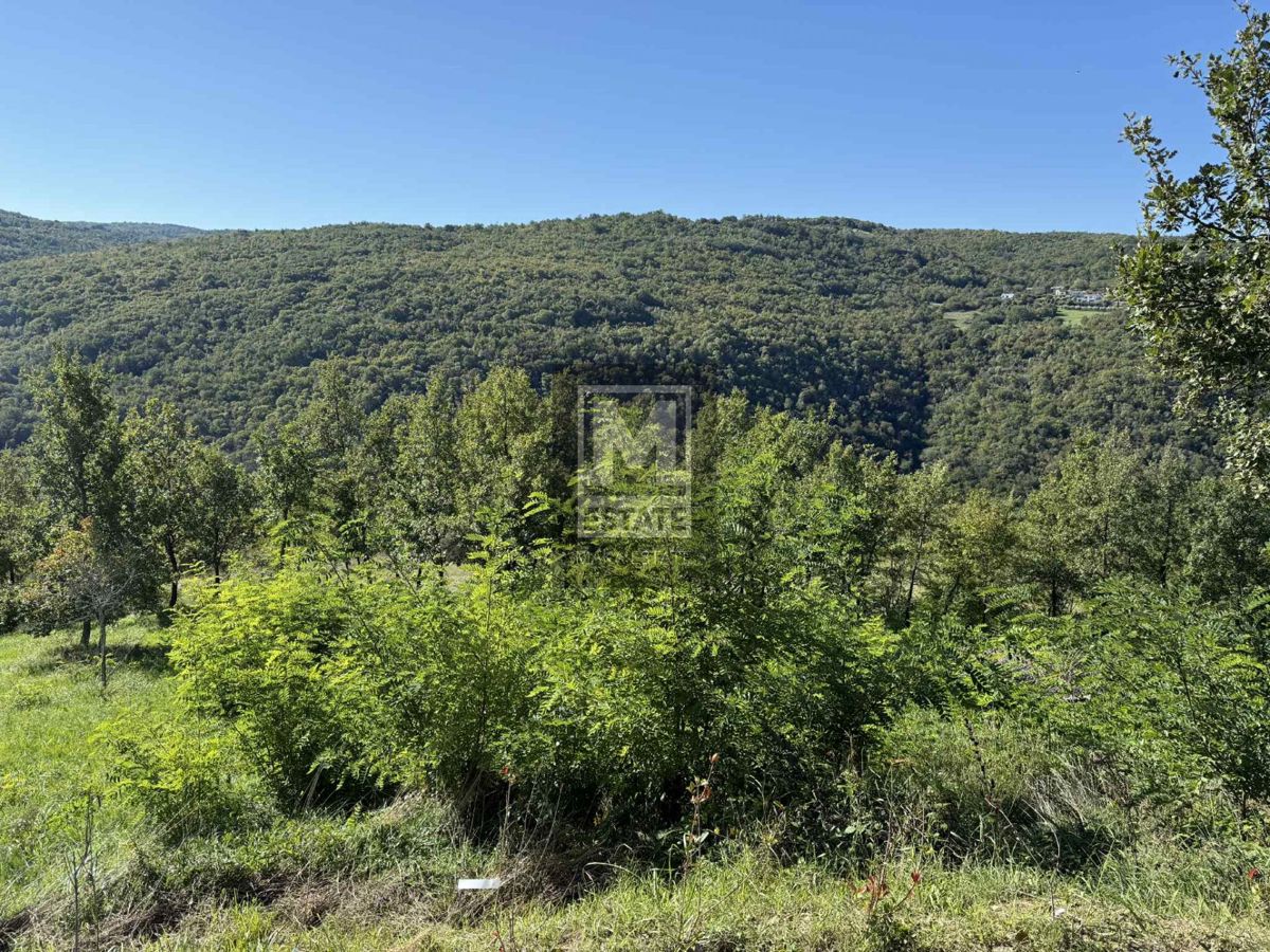 Grundstück Zu verkaufen - Istarska Motovun - foto 2/13