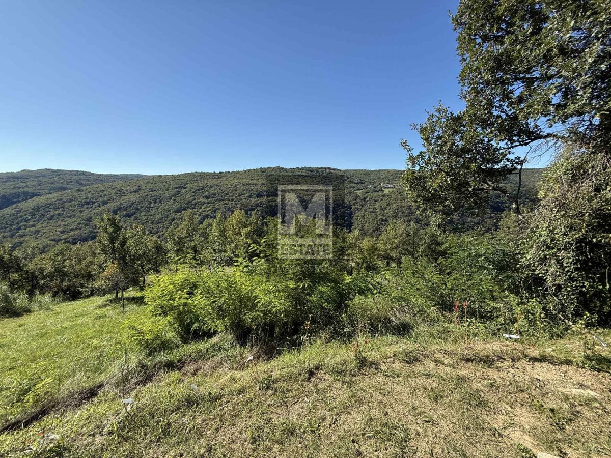 Grundstück Zu verkaufen - Istarska Motovun - foto 3/13