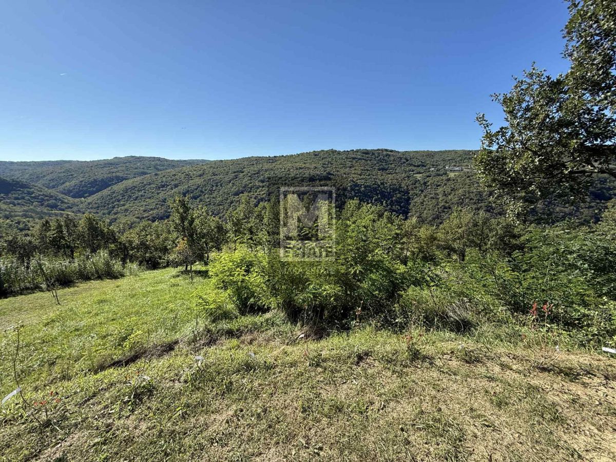 Grundstück Zu verkaufen - Istarska Motovun - foto 4/13