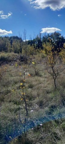 Parcela Naprodaj - Istarska Bale - foto 2/2