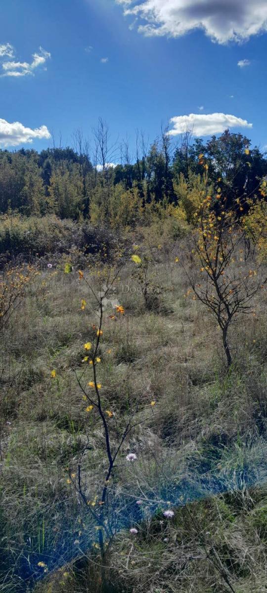 Pozemek Na prodej - ISTARSKA BALE