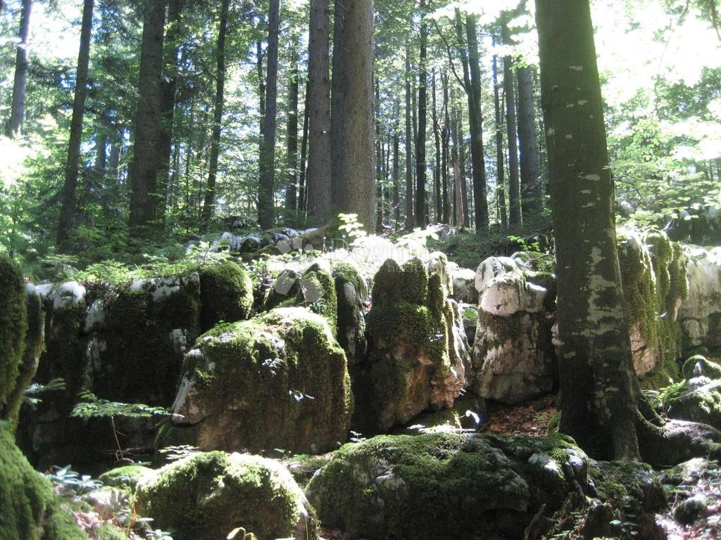 Kuća Na prodaju - PRIMORSKO-GORANSKA SKRAD