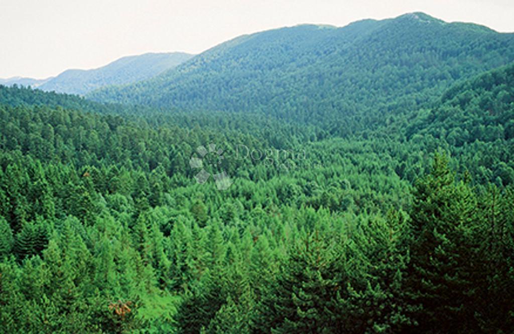 Kuća Na prodaju - PRIMORSKO-GORANSKA SKRAD