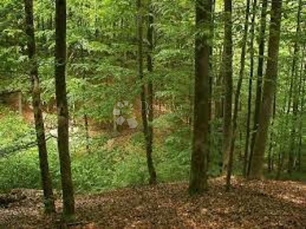 Kuća Na prodaju - PRIMORSKO-GORANSKA SKRAD