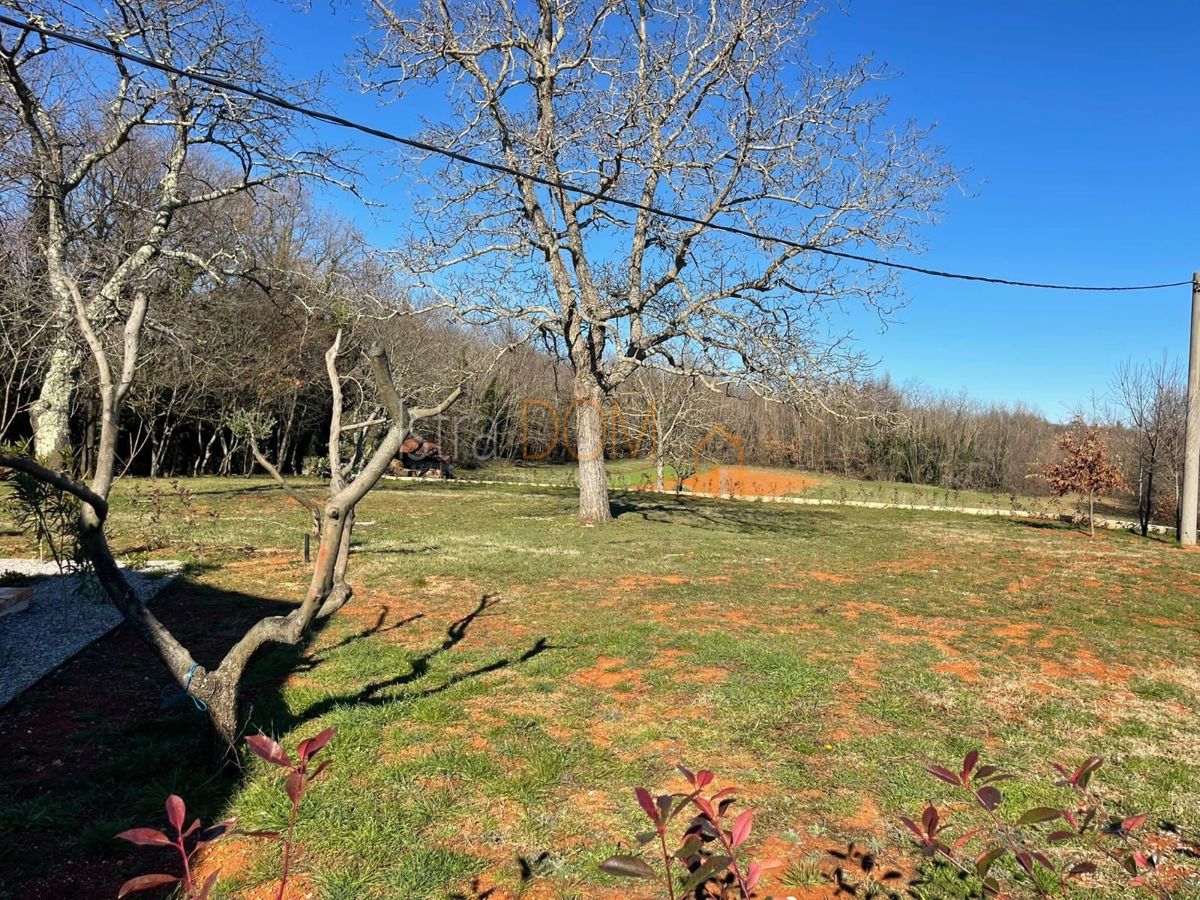 House For sale - ISTARSKA BARBAN